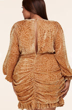 Load image into Gallery viewer, Golden Leopard Mini